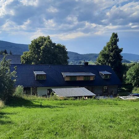 Steinhaus / Kamenny Dum Daire Zdíkov Dış mekan fotoğraf