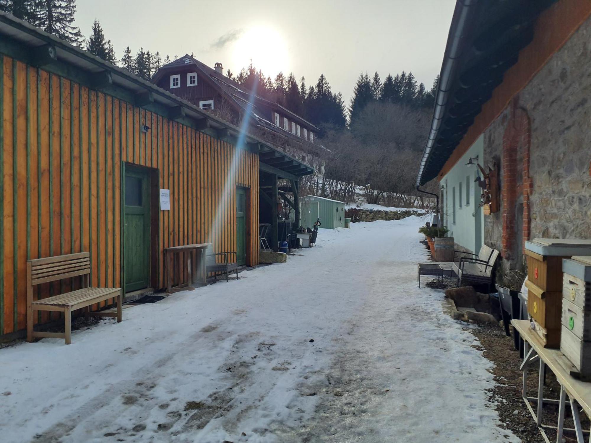 Steinhaus / Kamenny Dum Daire Zdíkov Dış mekan fotoğraf